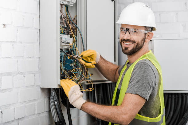 Best Residential Electrician Services  in Palmetto Bay, FL