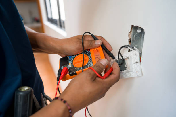 Best Electrical Troubleshooting Services  in Palmetto Bay, FL