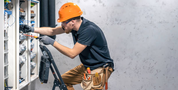 Best Electric Panel Repair  in Palmetto Bay, FL